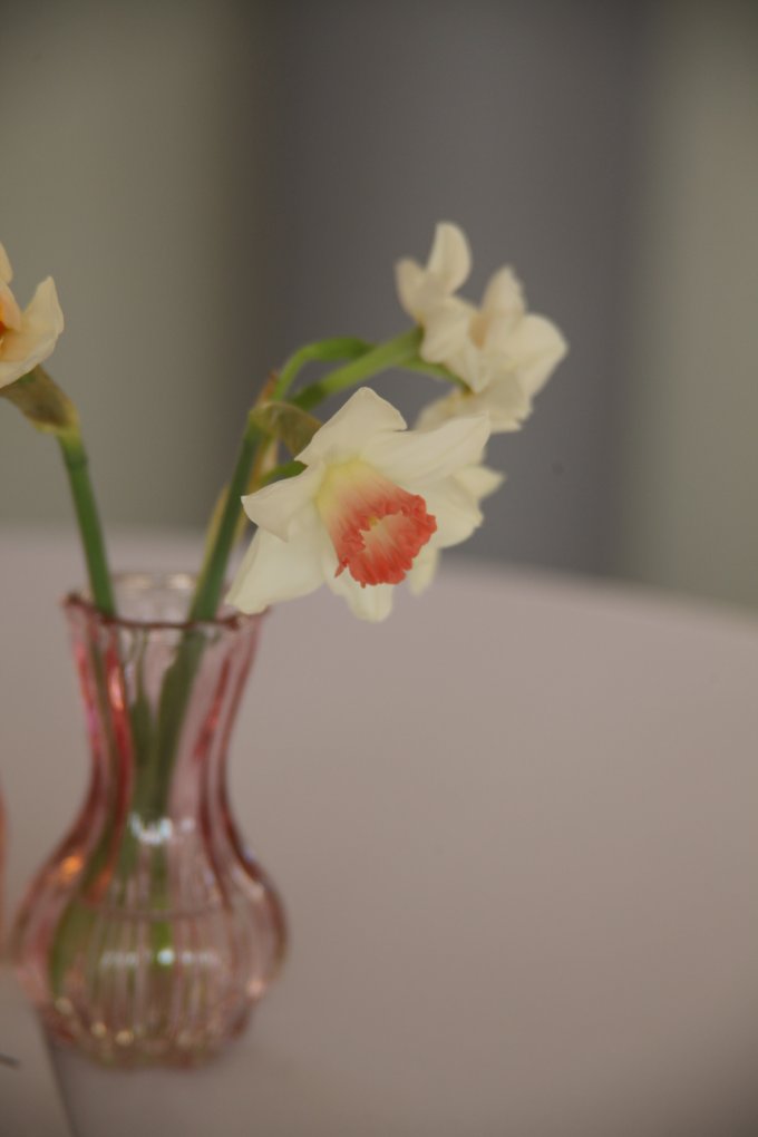 Journée dégustation au Clos Malpré photo 7